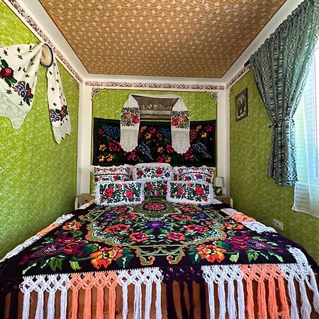 Floare De Maramures 1 Vadu Izei Zewnętrze zdjęcie