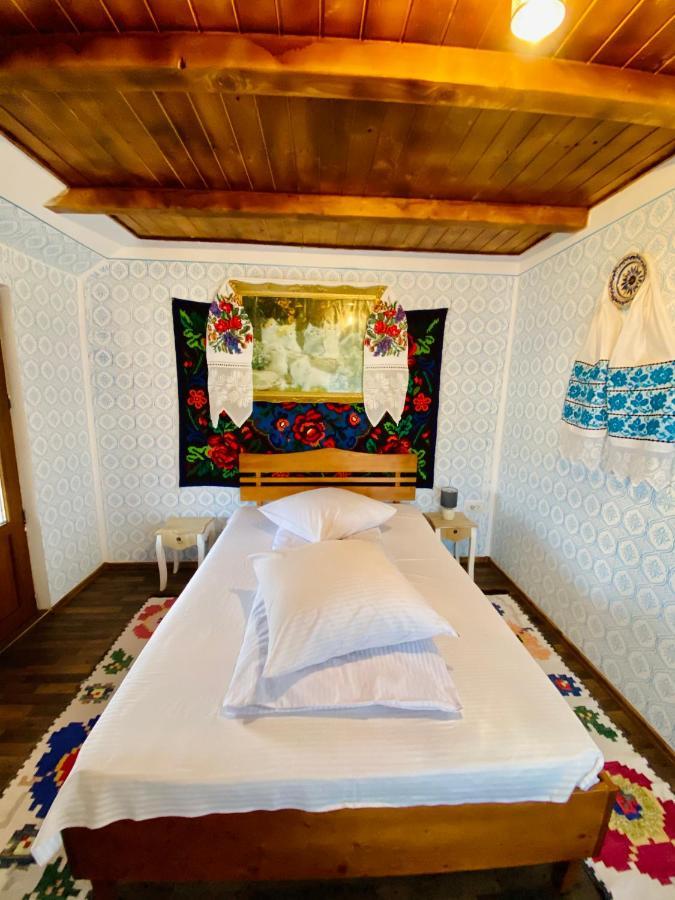 Floare De Maramures 1 Vadu Izei Zewnętrze zdjęcie