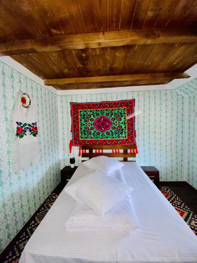 Floare De Maramures 1 Vadu Izei Zewnętrze zdjęcie