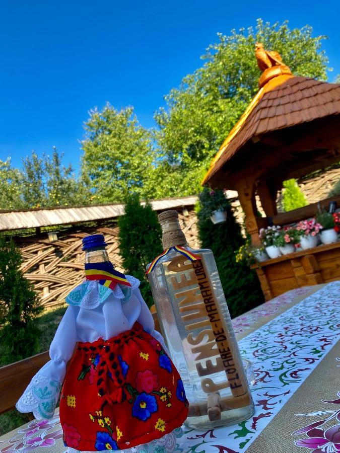 Floare De Maramures 1 Vadu Izei Zewnętrze zdjęcie