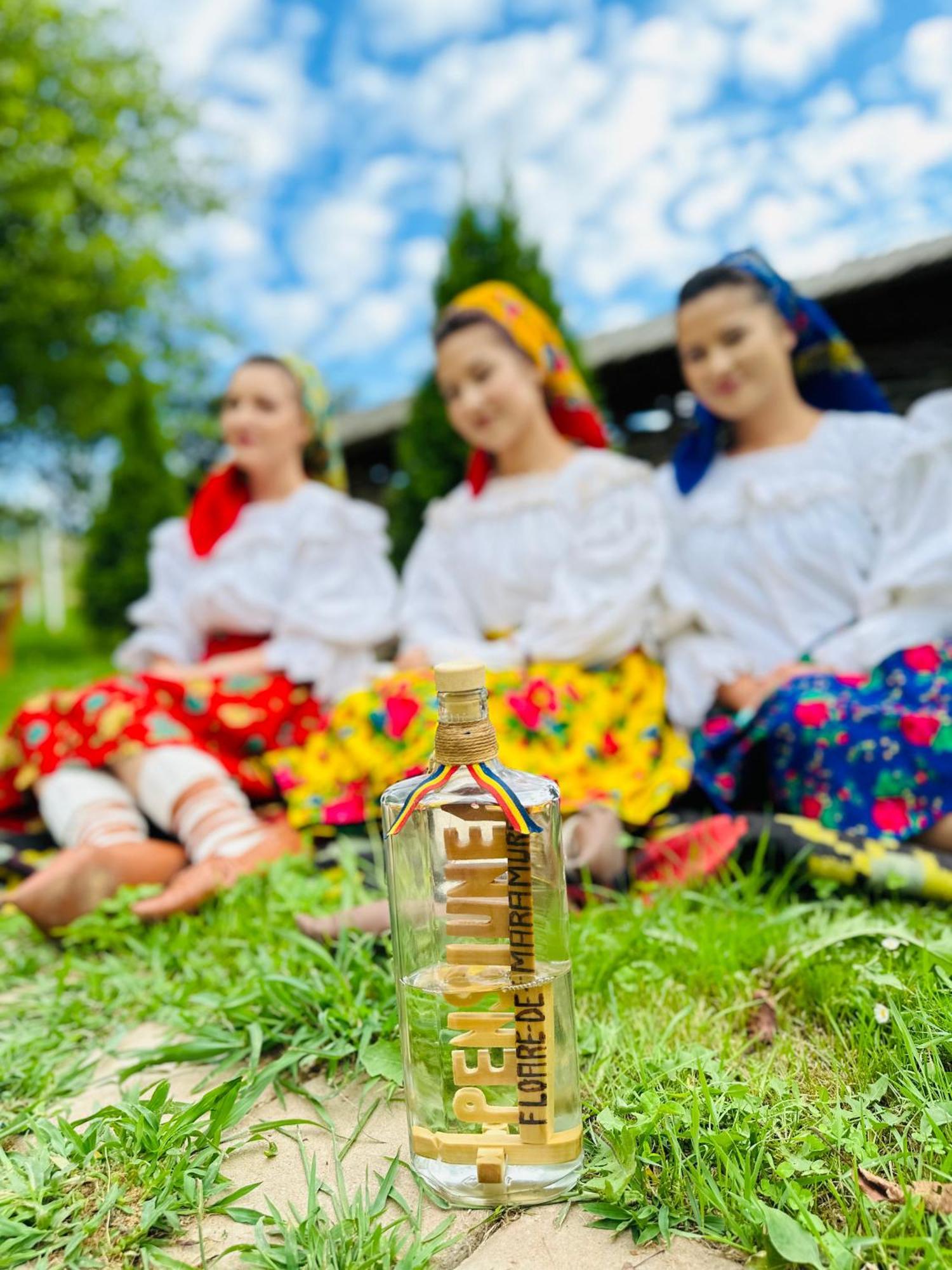 Floare De Maramures 1 Vadu Izei Zewnętrze zdjęcie
