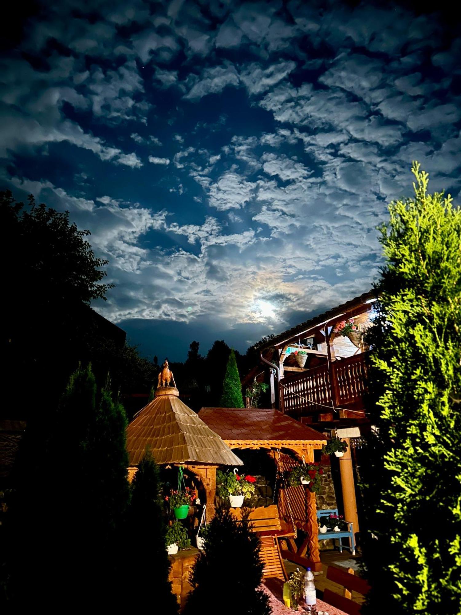 Floare De Maramures 1 Vadu Izei Zewnętrze zdjęcie