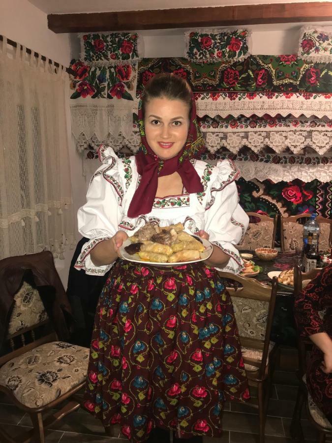 Floare De Maramures 1 Vadu Izei Zewnętrze zdjęcie